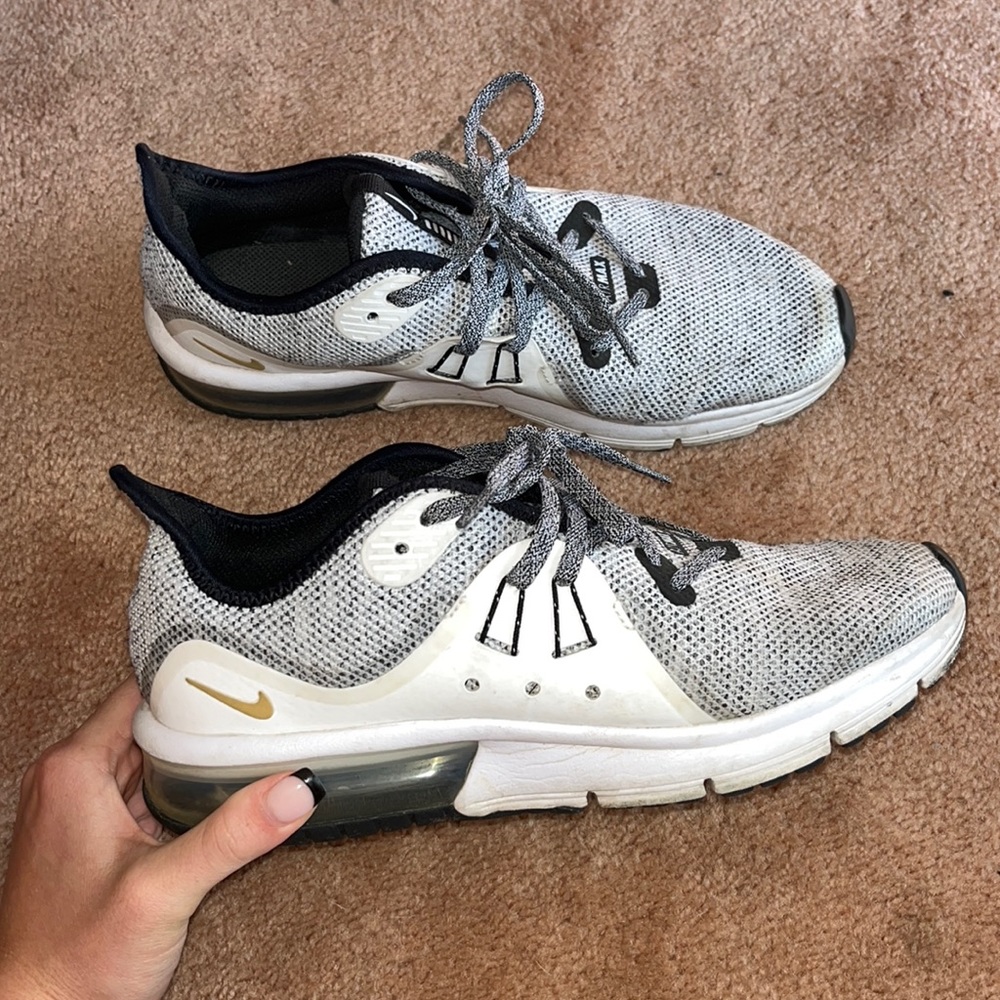 Nike Air Max Shoes